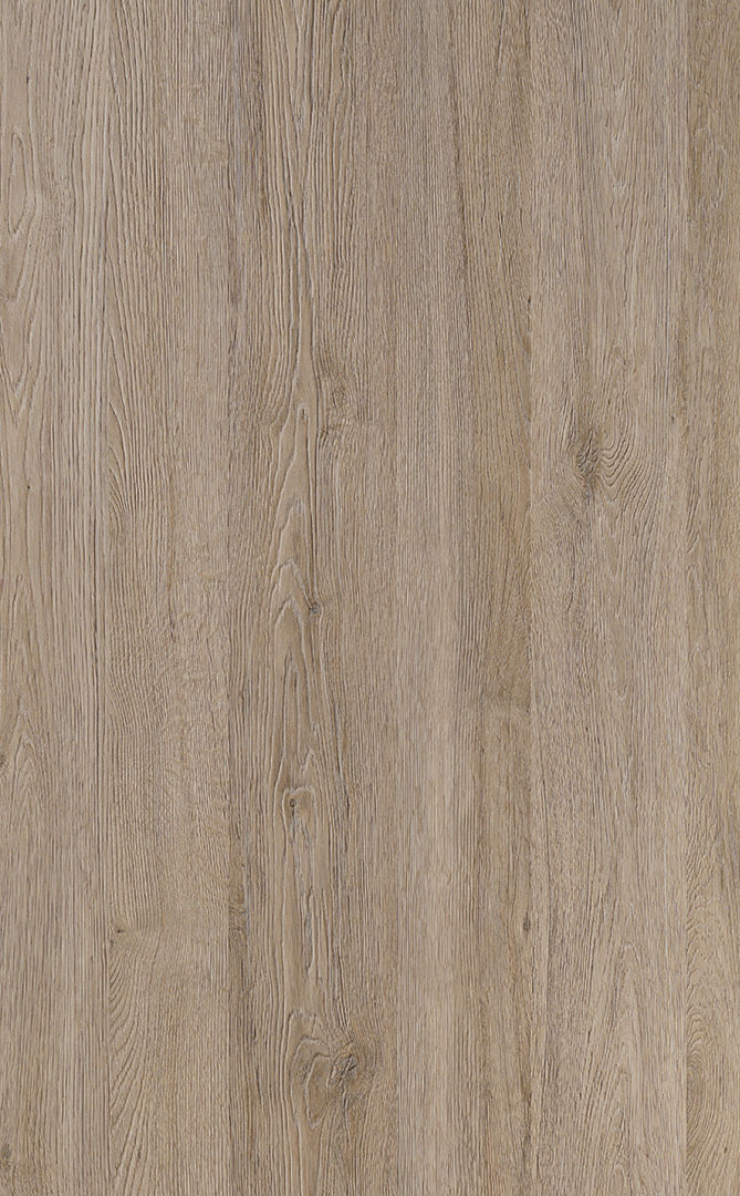 2359 ank rovere corteccia